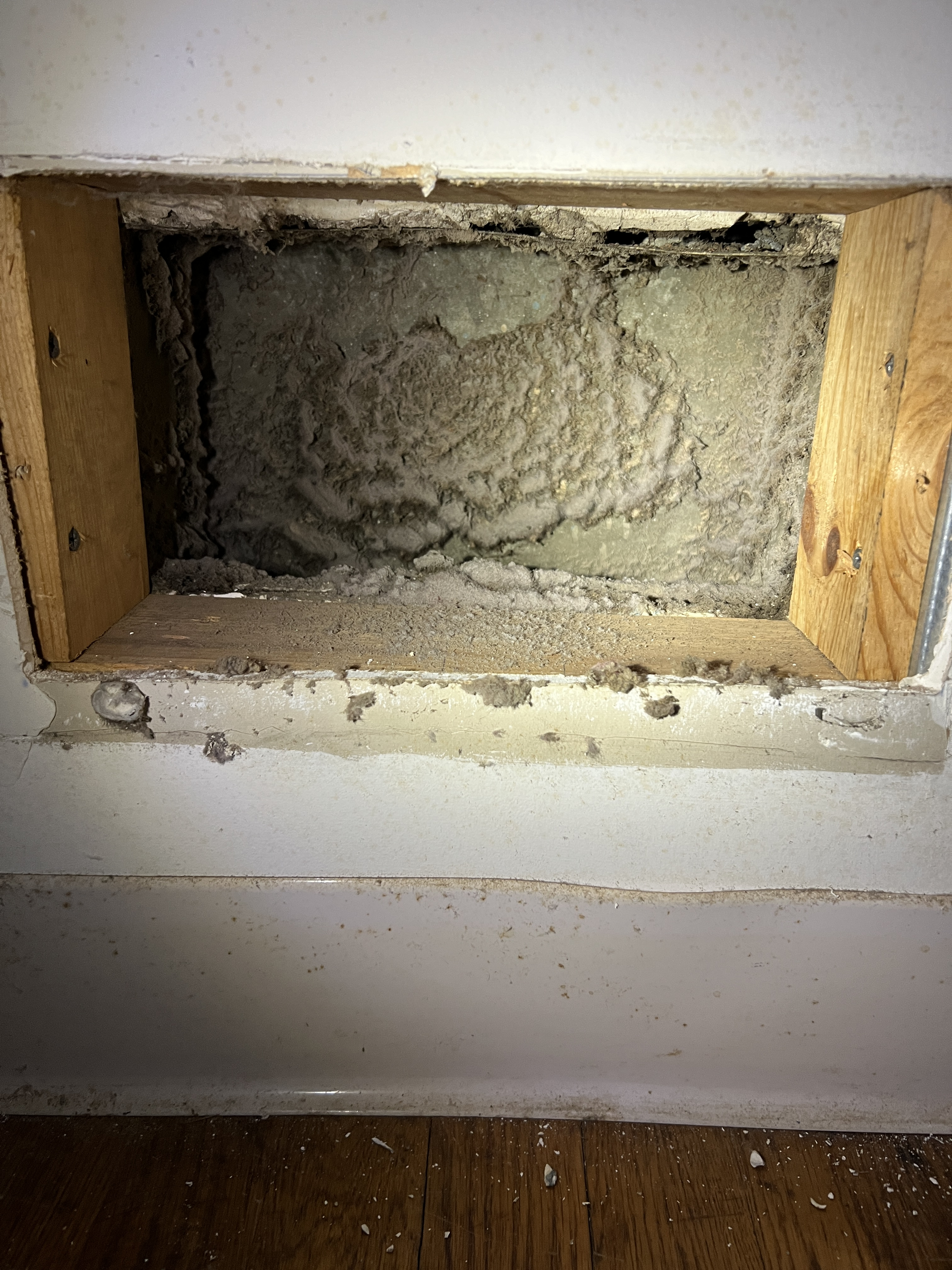 Dirty grill before cleaning